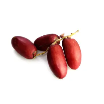 Fresh Fresh Dates